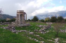 mashnaqa