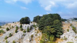 20160908_162037