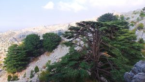 20160908_163148