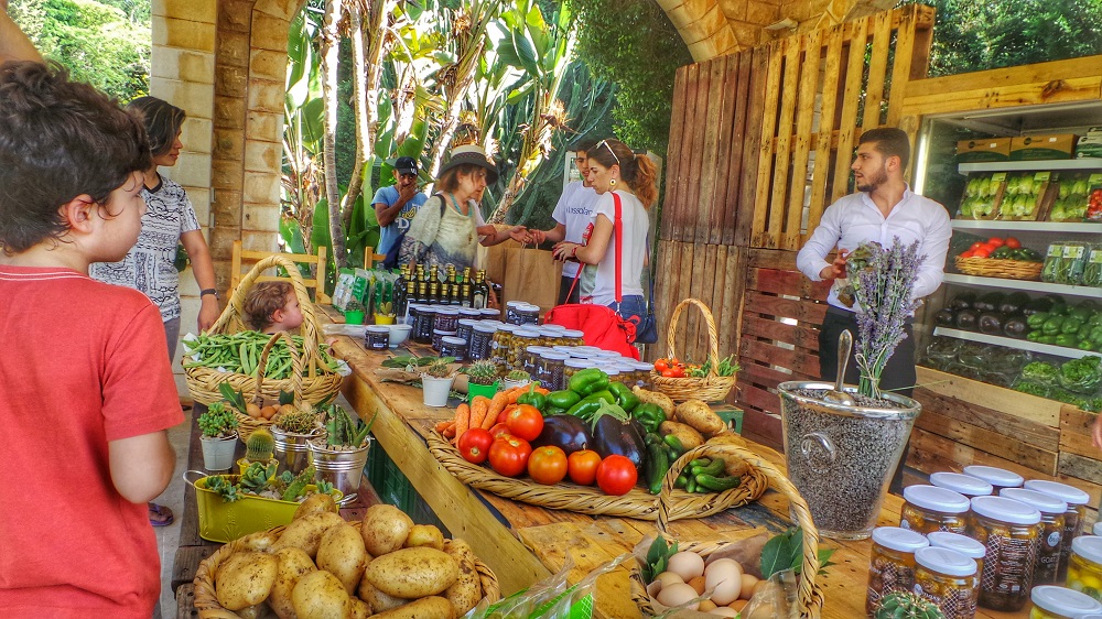 Tawlet Biomass, Jrabta – La Maison du Tourisme